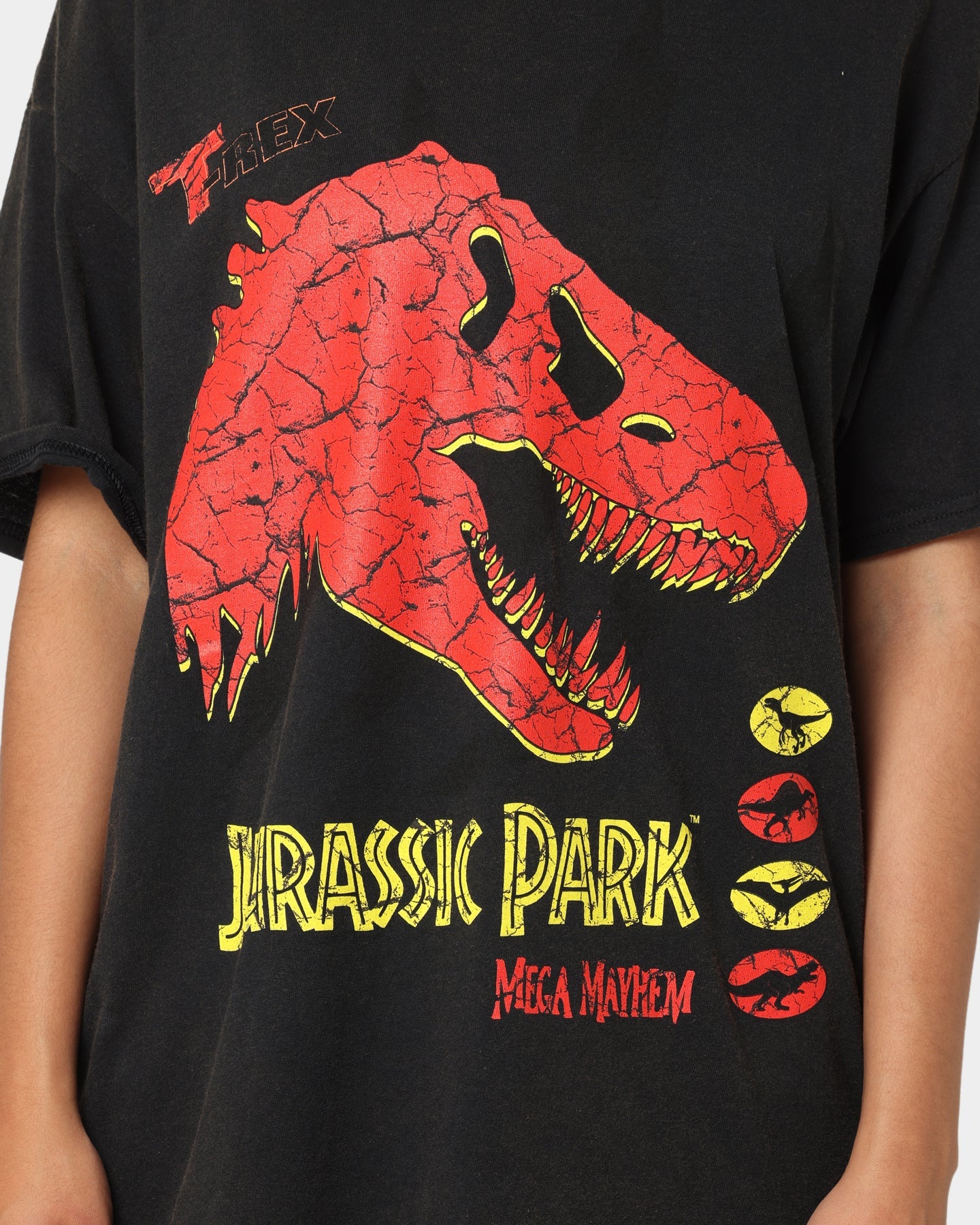 American Thrift X Jurassic Park Mega Mayhem Vintage T-Shirt Black Wash