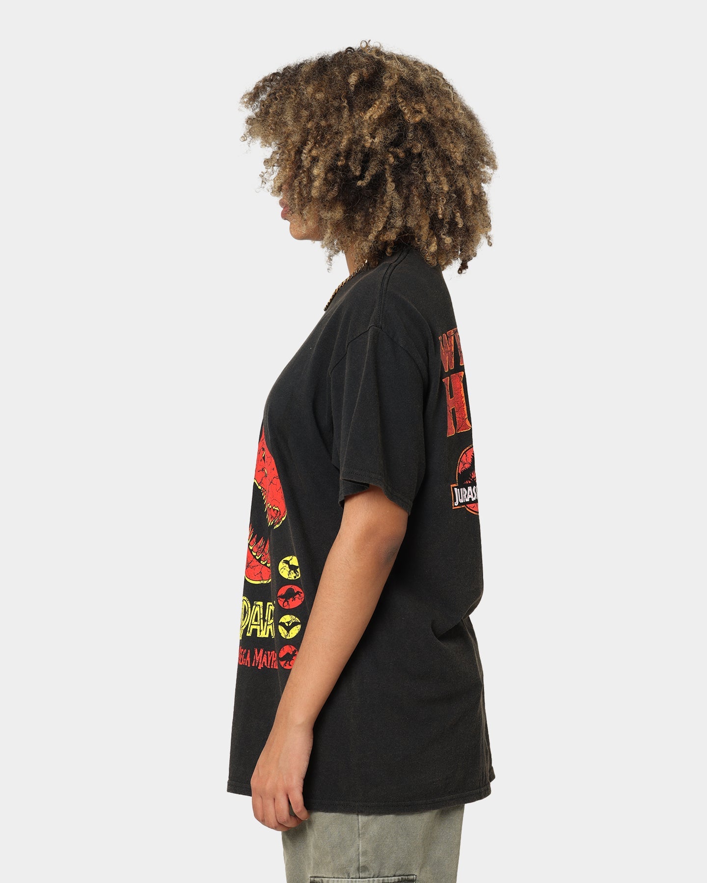 American Thrift X Jurassic Park Mega Mayhem Vintage T-Shirt Black Wash