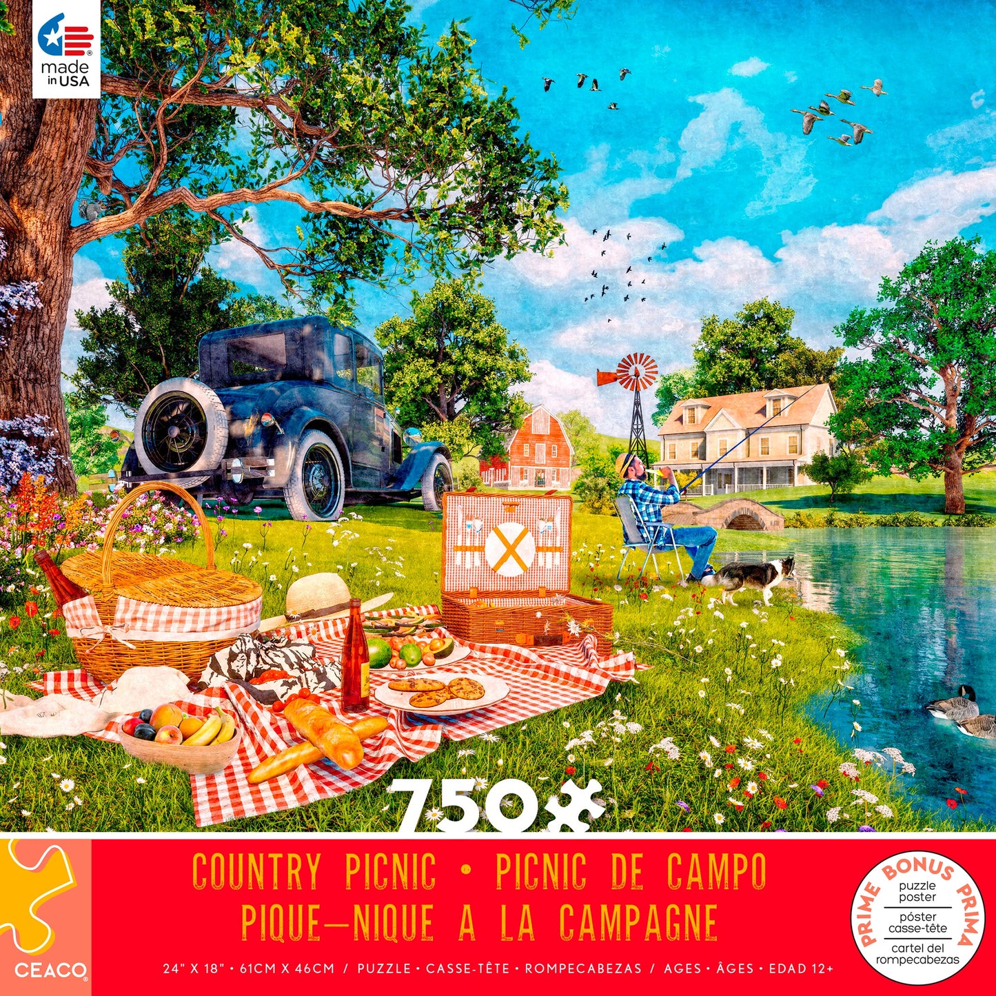 Dominic Davison - Country Picnic - 750 Piece Puzzle