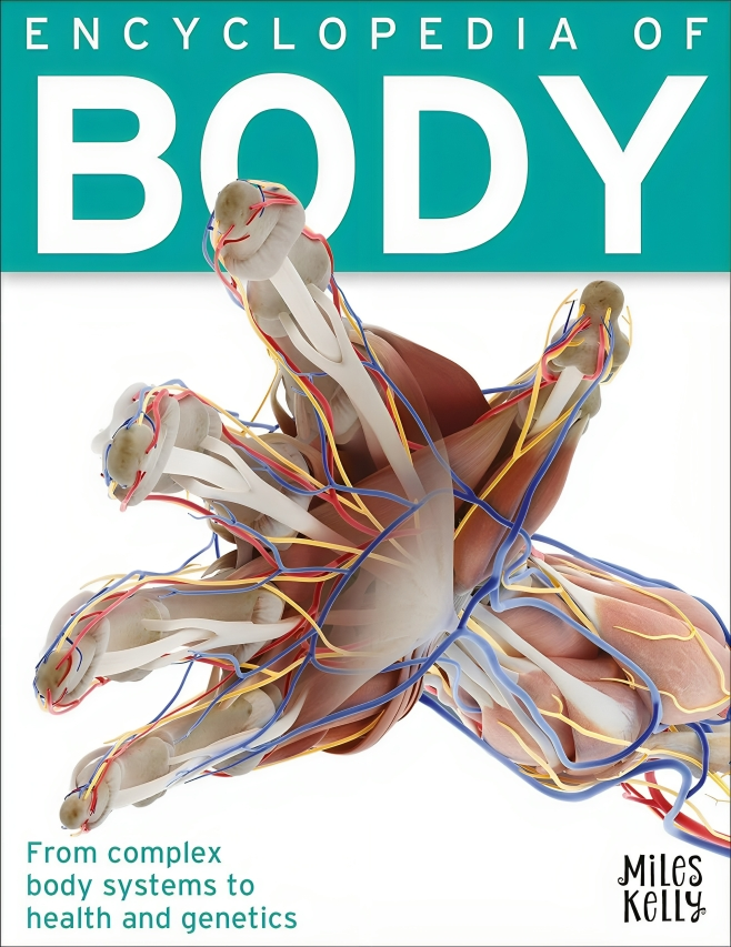 Encyclopedia Of Body