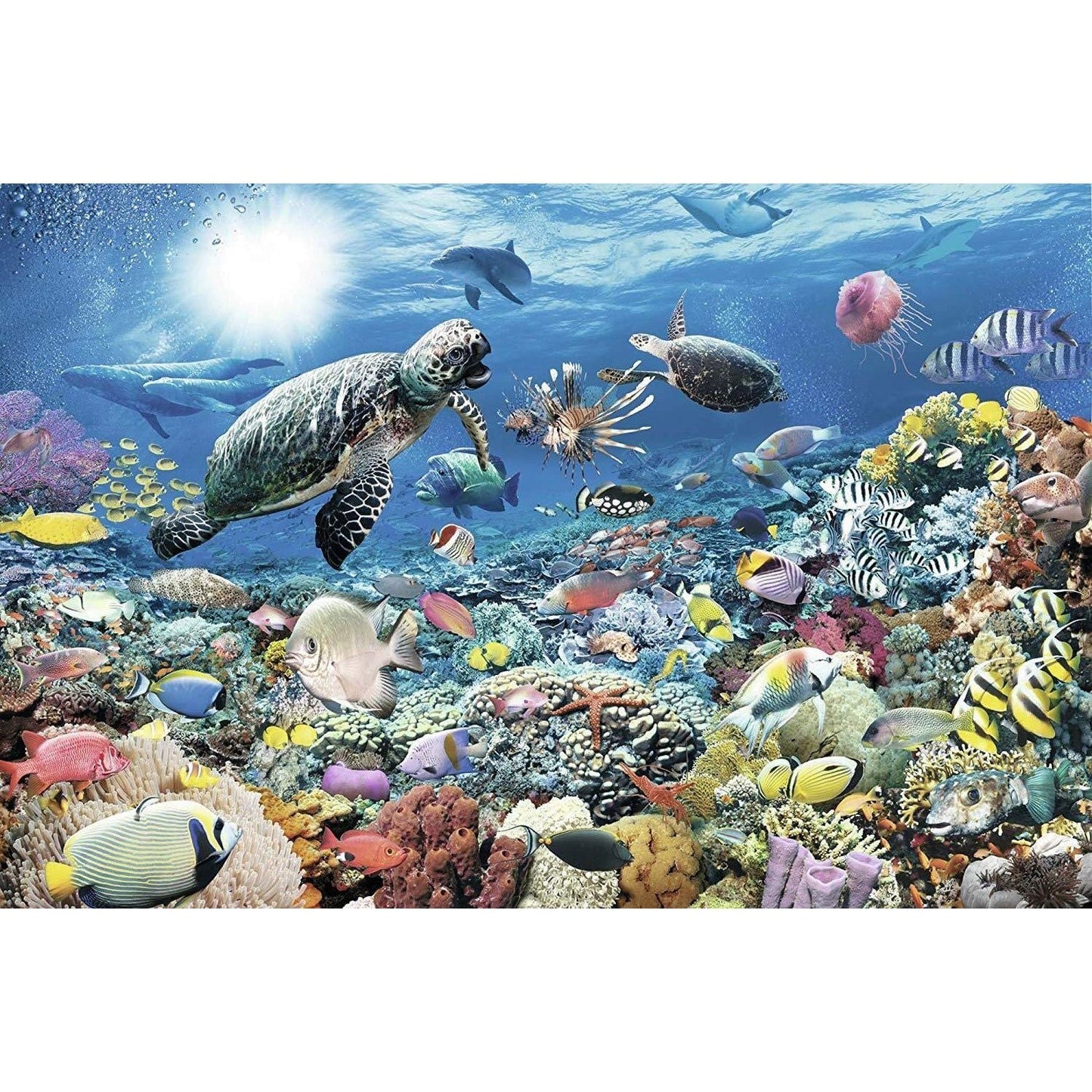 Ravensburger 5000 Piece Puzzle Underwater Tranquility